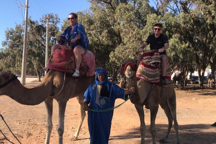 <br />
<b>Warning</b>: Undefined variable $i in <b>/home/bestridefg/www/app/Views/public/show_single.php</b> on line <b>70</b><br />
Meilleur visite de ville d'Agadir à partir des croisières.