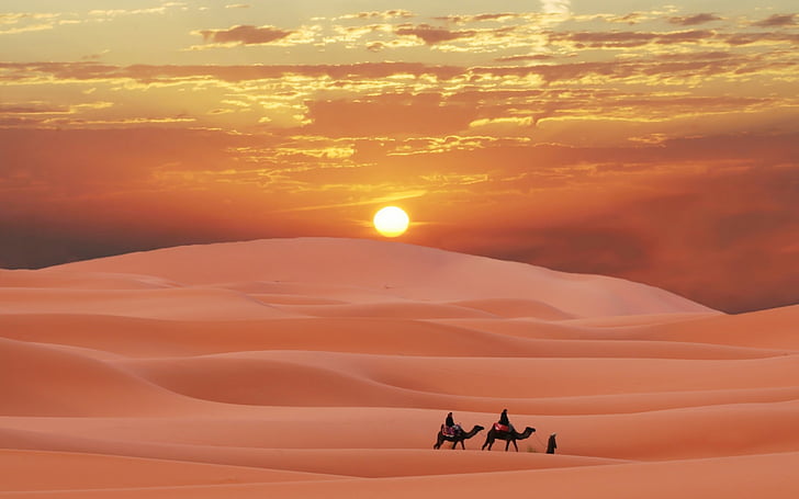 <br />
<b>Warning</b>: Undefined variable $i in <b>/home/bestridefg/www/app/Views/public/show_single.php</b> on line <b>70</b><br />
Circuit d'Agadir au Sahara: Rejoignez-nous dans une aventure