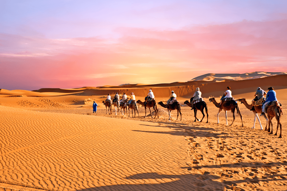Sahara camel caravan 1631894114.pn