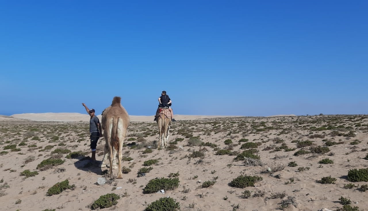 <br />
<b>Warning</b>: Undefined variable $i in <b>/home/bestridefg/www/app/Views/public/show_single.php</b> on line <b>70</b><br />
Excursion de désert le plus proche d'Agadir (Minibus)