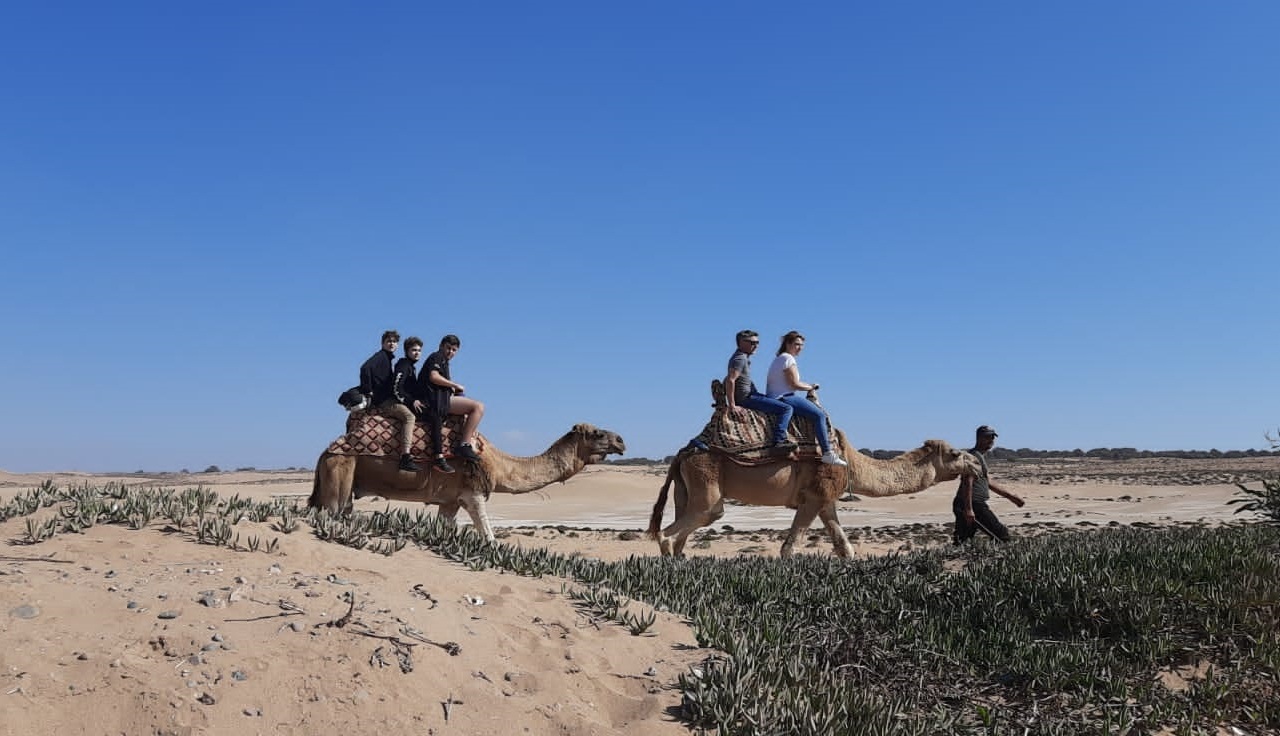 <br />
<b>Warning</b>: Undefined variable $i in <b>/home/bestridefg/www/app/Views/public/show_single.php</b> on line <b>70</b><br />
Excursion de désert le plus proche d'Agadir (Minibus)