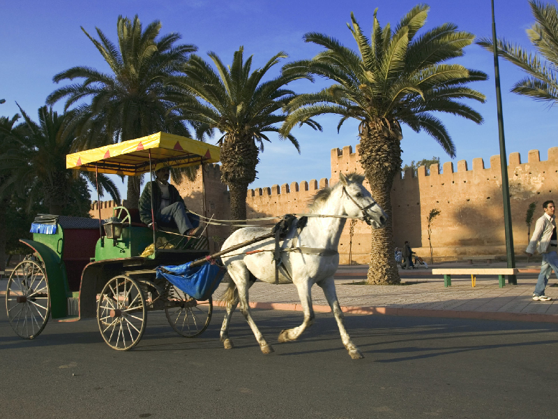 <br />
<b>Warning</b>: Undefined variable $i in <b>/home/bestridefg/www/app/Views/public/show_single.php</b> on line <b>70</b><br />
Agadir à Taroudant Une excursion découverte intéressante