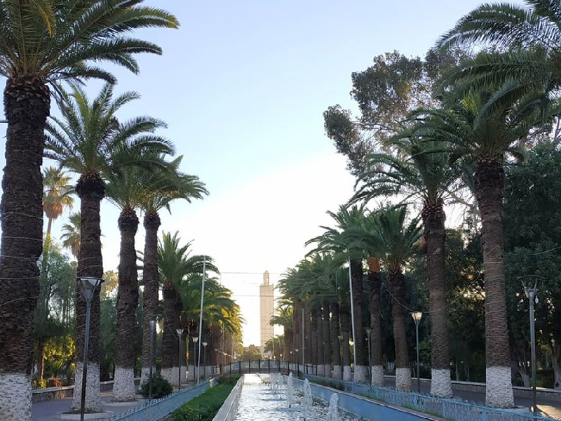 <br />
<b>Warning</b>: Undefined variable $i in <b>/home/bestridefg/www/app/Views/public/show_single.php</b> on line <b>70</b><br />
Agadir à Taroudant Une excursion découverte intéressante