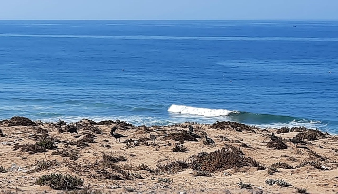 <br />
<b>Warning</b>: Undefined variable $i in <b>/home/bestridefg/www/app/Views/public/show_single.php</b> on line <b>70</b><br />
Excursion de désert le plus proche d'Agadir (Minibus)