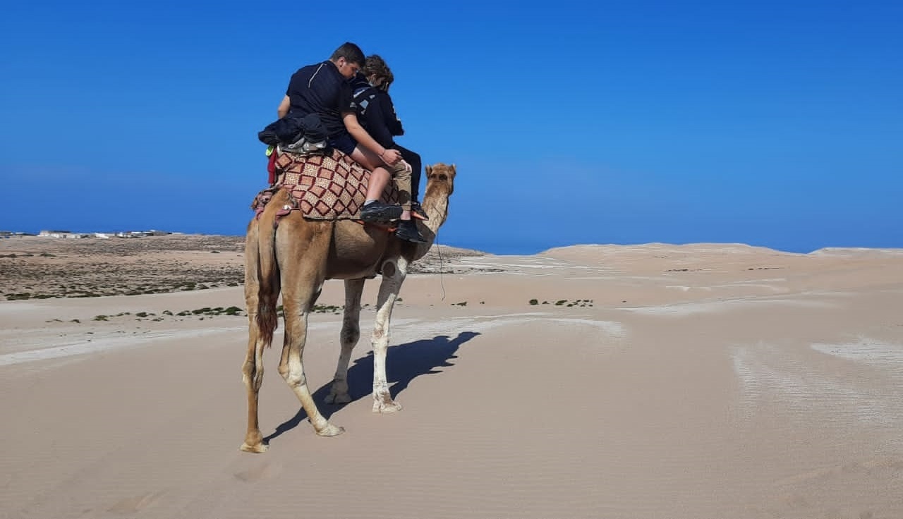 <br />
<b>Warning</b>: Undefined variable $i in <b>/home/bestridefg/www/app/Views/public/show_single.php</b> on line <b>70</b><br />
Excursion de désert le plus proche d'Agadir (Minibus)