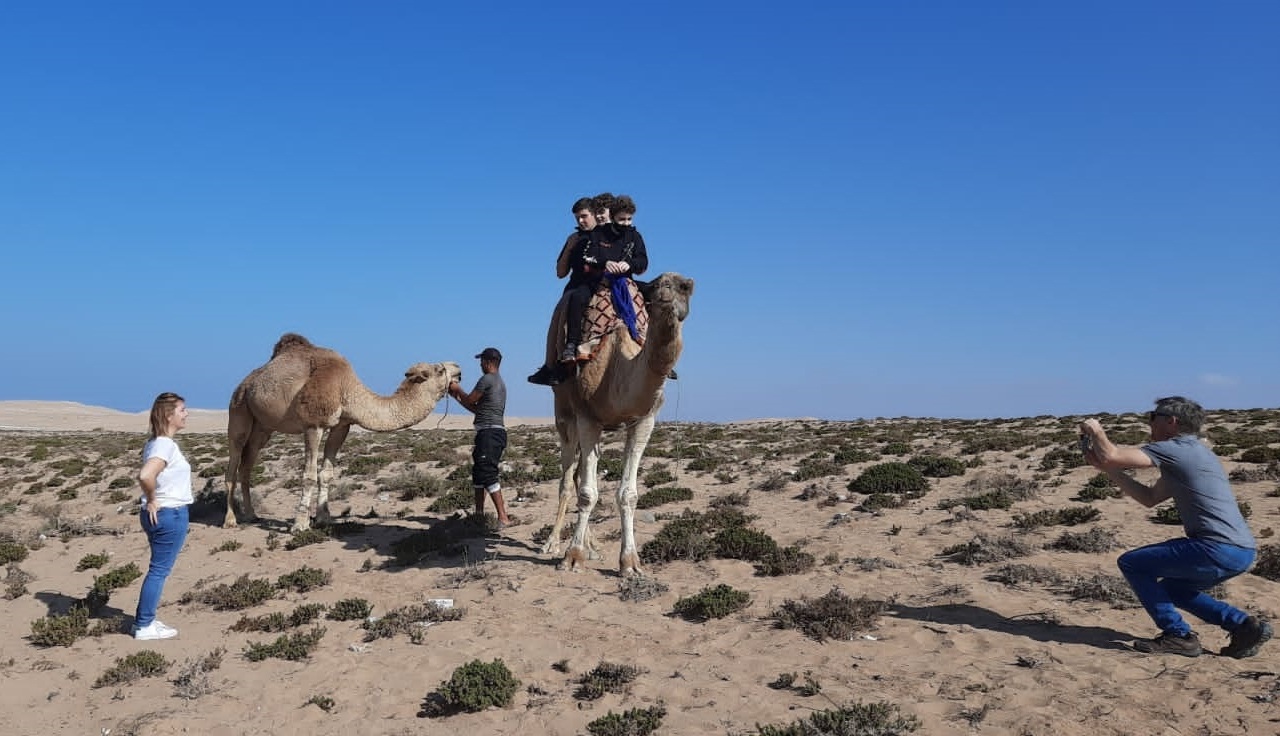 <br />
<b>Warning</b>: Undefined variable $i in <b>/home/bestridefg/www/app/Views/public/show_single.php</b> on line <b>70</b><br />
Excursion de désert le plus proche d'Agadir (Minibus)