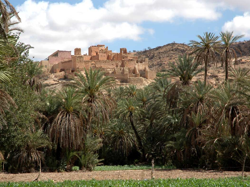 <br />
<b>Warning</b>: Undefined variable $i in <b>/home/bestridefg/www/app/Views/public/show_single.php</b> on line <b>70</b><br />
Agadir à Taroudant Une excursion découverte intéressante